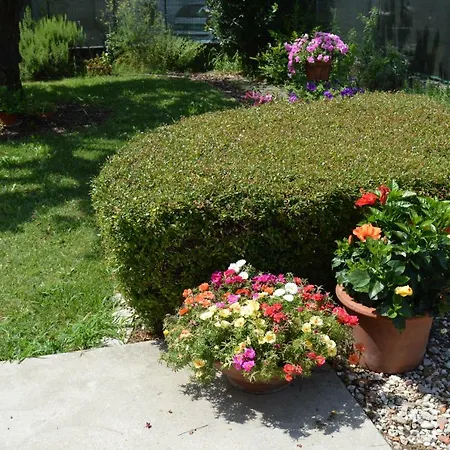 Bed & Breakfast Cambusa Motteggiana